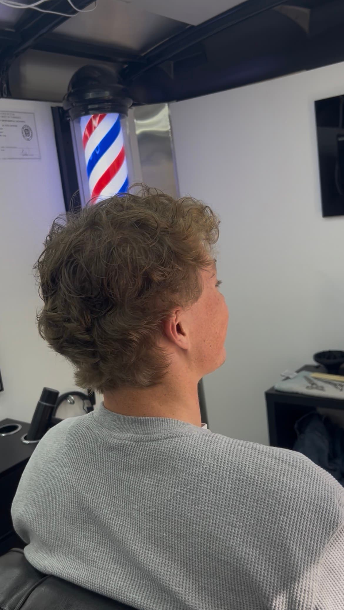 Textured curly cut, back view
